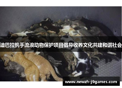 迪巴拉携手流浪动物保护项目倡导收养文化共建和谐社会 迪巴拉携手流浪动物保护项目倡导收养文化共建和谐社会