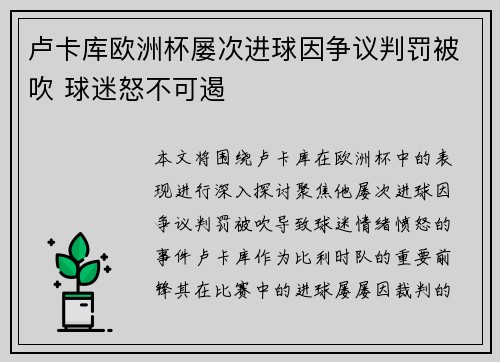 卢卡库欧洲杯屡次进球因争议判罚被吹 球迷怒不可遏 卢卡库欧洲杯屡次进球因争议判罚被吹 球迷怒不可遏
